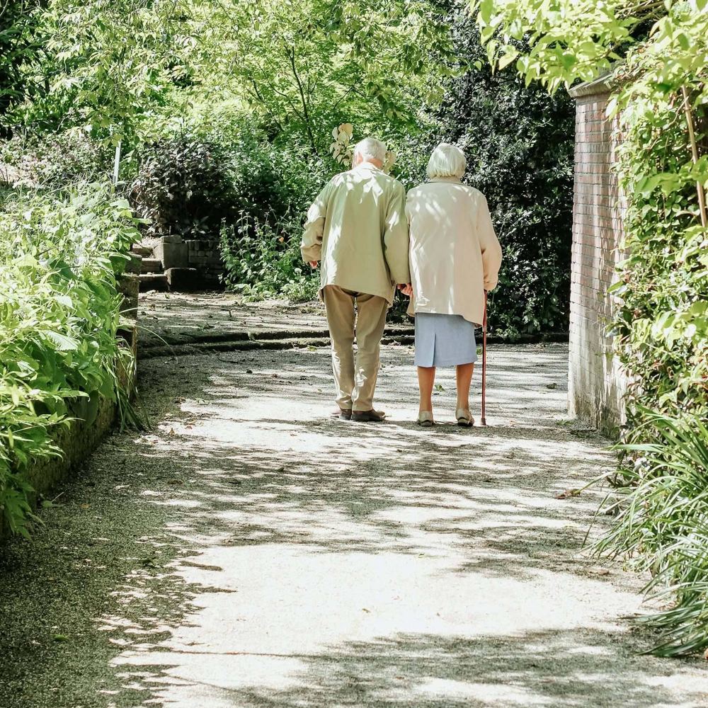 An older couple walking hand in hand along a sunny, leafy path